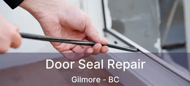  Door Seal Repair Gilmore - BC