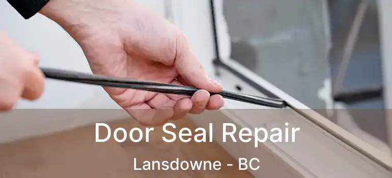  Door Seal Repair Lansdowne - BC