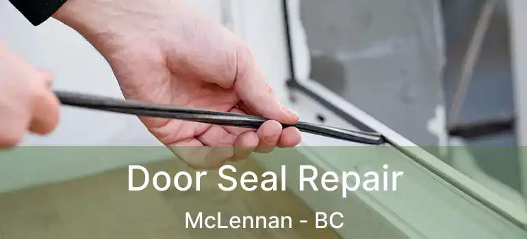  Door Seal Repair McLennan - BC