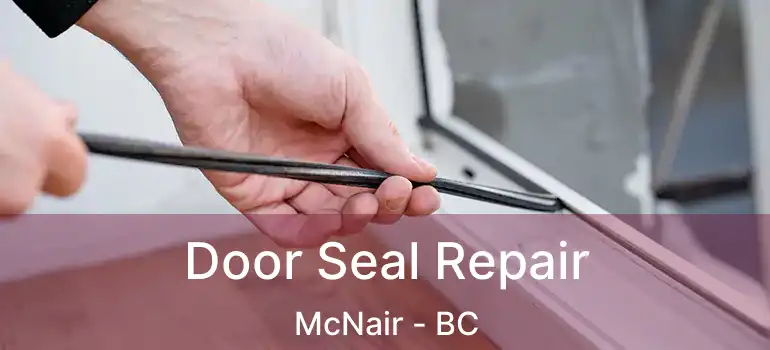  Door Seal Repair McNair - BC