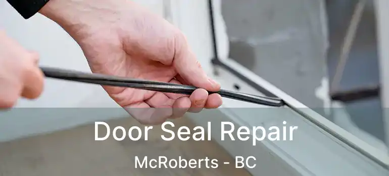  Door Seal Repair McRoberts - BC
