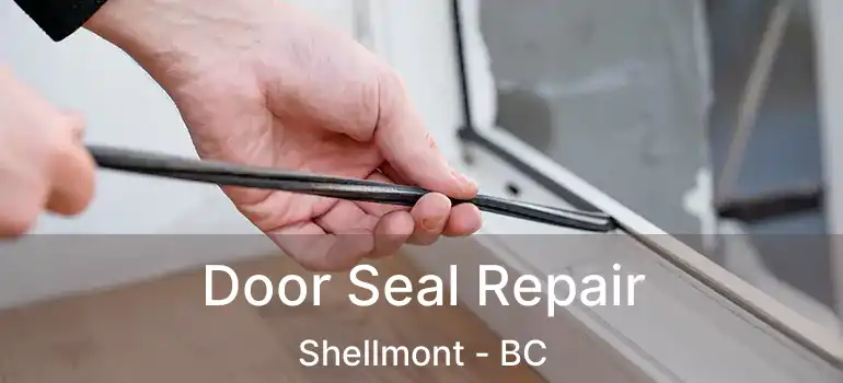  Door Seal Repair Shellmont - BC
