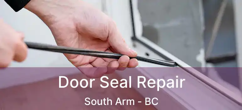 Door Seal Repair South Arm - BC