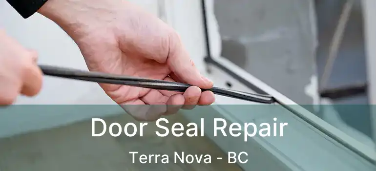  Door Seal Repair Terra Nova - BC