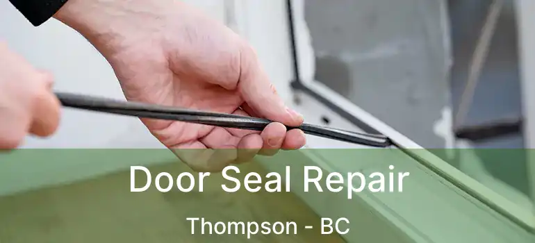  Door Seal Repair Thompson - BC