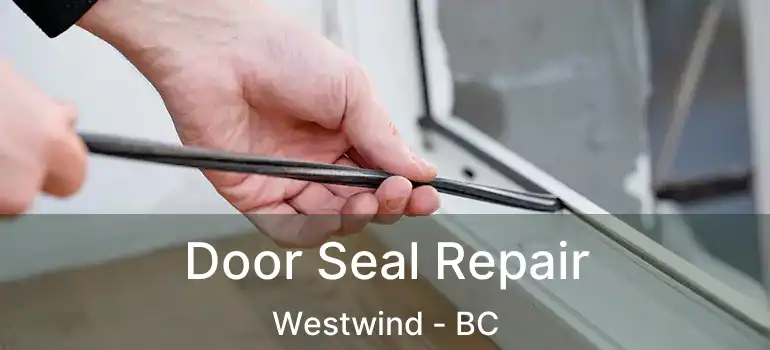  Door Seal Repair Westwind - BC