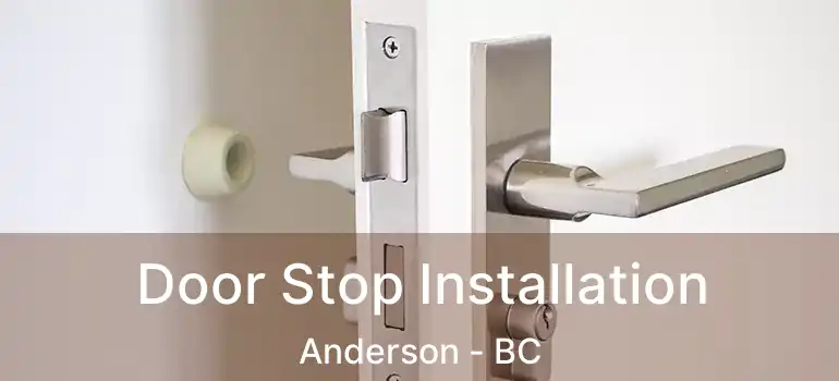  Door Stop Installation Anderson - BC