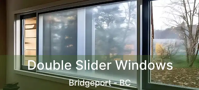  Double Slider Windows Bridgeport - BC