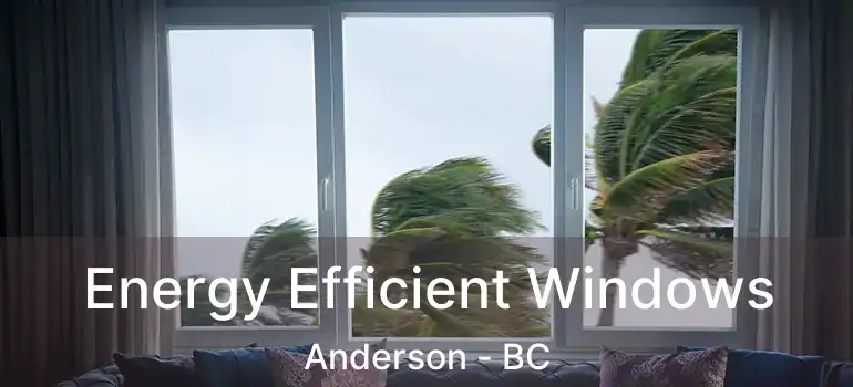  Energy Efficient Windows Anderson - BC