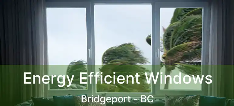  Energy Efficient Windows Bridgeport - BC