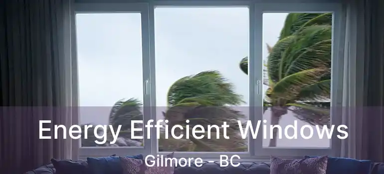  Energy Efficient Windows Gilmore - BC