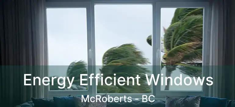  Energy Efficient Windows McRoberts - BC