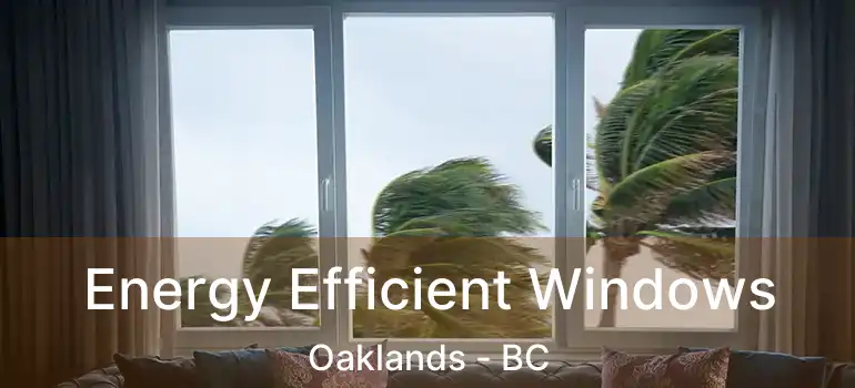  Energy Efficient Windows Oaklands - BC