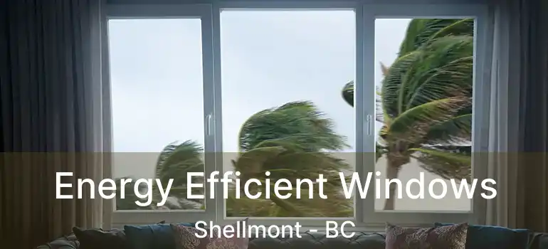 Energy Efficient Windows Shellmont - BC
