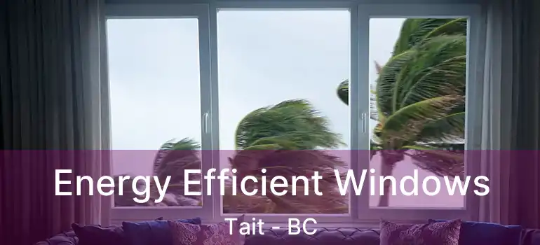  Energy Efficient Windows Tait - BC