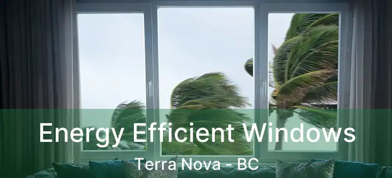  Energy Efficient Windows Terra Nova - BC