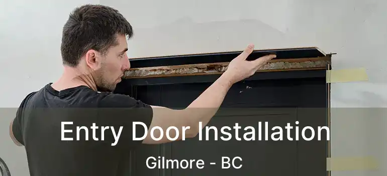  Entry Door Installation Gilmore - BC
