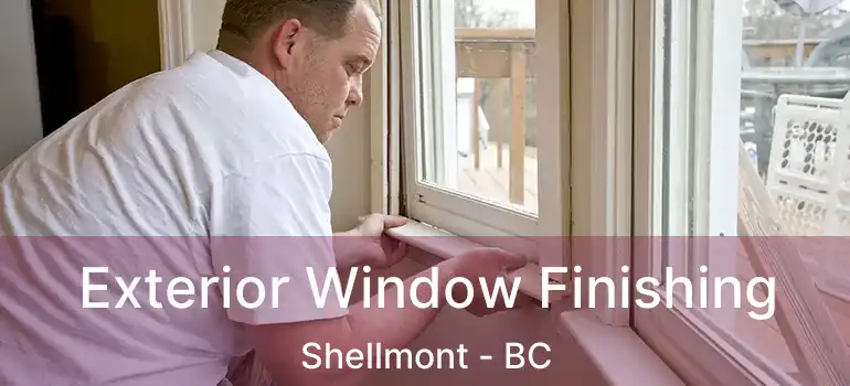  Exterior Window Finishing Shellmont - BC