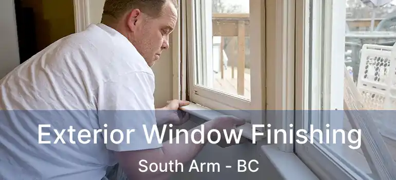  Exterior Window Finishing South Arm - BC