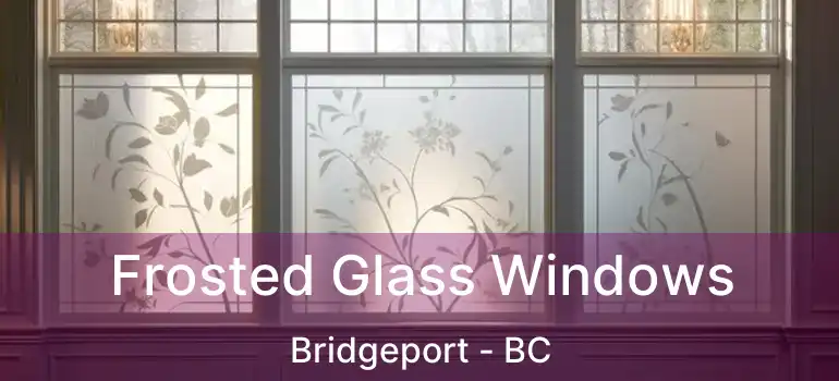  Frosted Glass Windows Bridgeport - BC