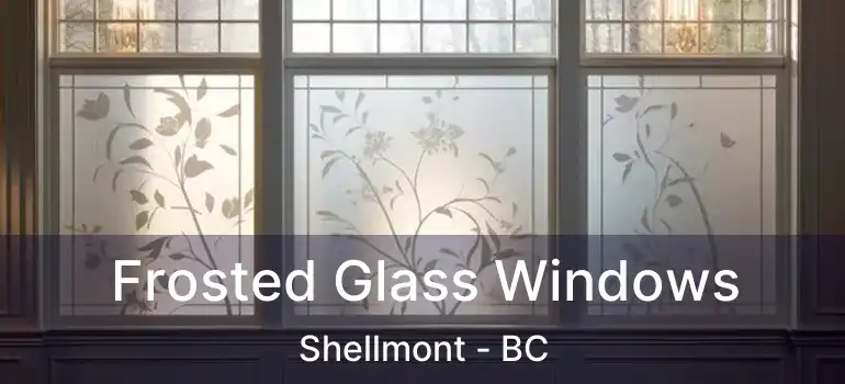  Frosted Glass Windows Shellmont - BC