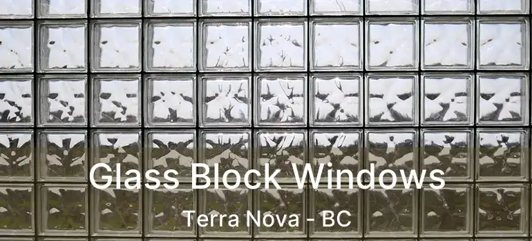  Glass Block Windows Terra Nova - BC