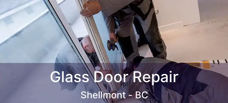  Glass Door Repair Shellmont - BC