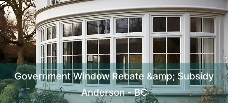  Government Window Rebate & Subsidy Anderson - BC