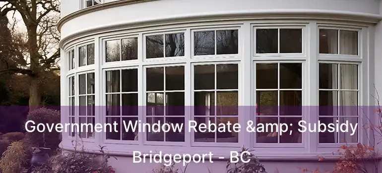  Government Window Rebate & Subsidy Bridgeport - BC