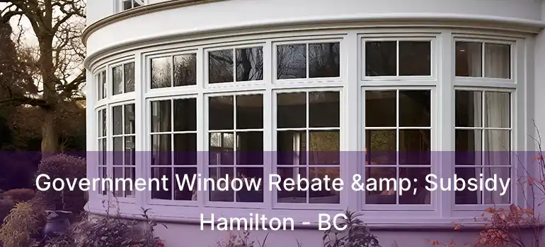  Government Window Rebate & Subsidy Hamilton - BC