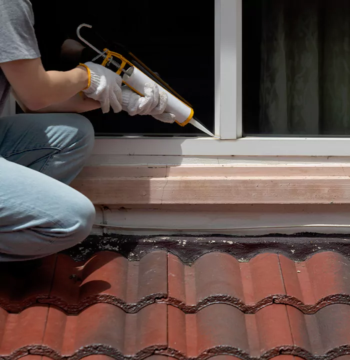 Roof Window Services in Richmond, British Columbia