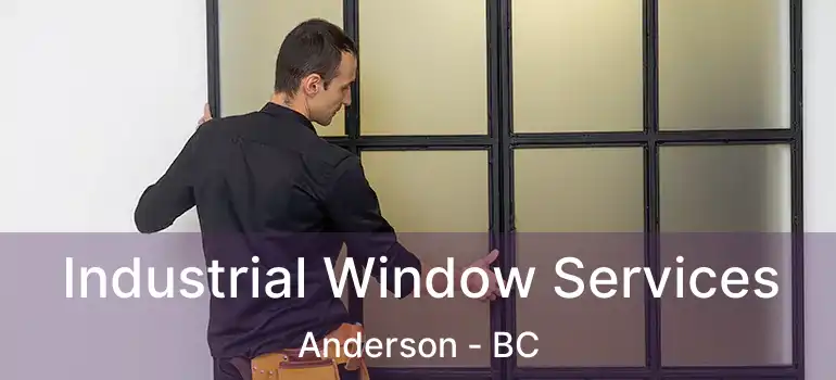  Industrial Window Services Anderson - BC