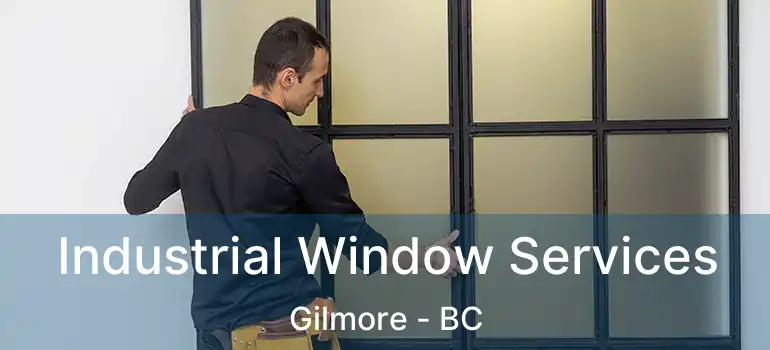  Industrial Window Services Gilmore - BC