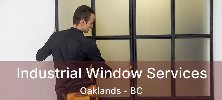  Industrial Window Services Oaklands - BC
