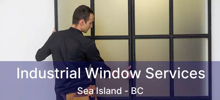  Industrial Window Services Sea Island - BC