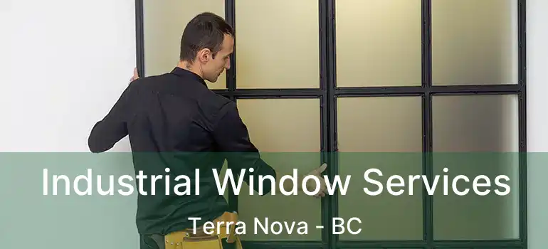  Industrial Window Services Terra Nova - BC