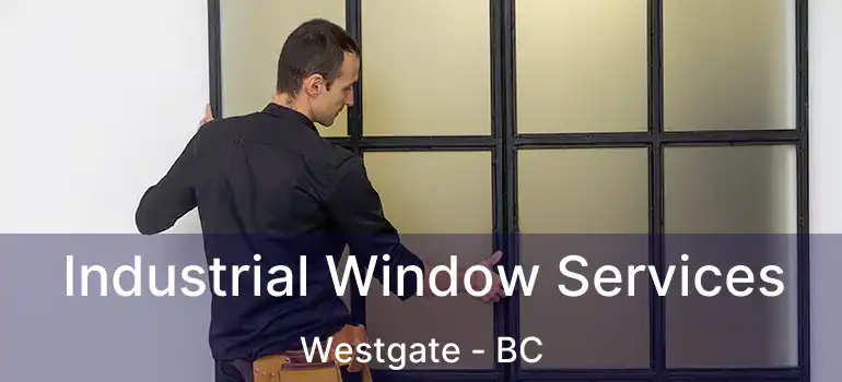  Industrial Window Services Westgate - BC
