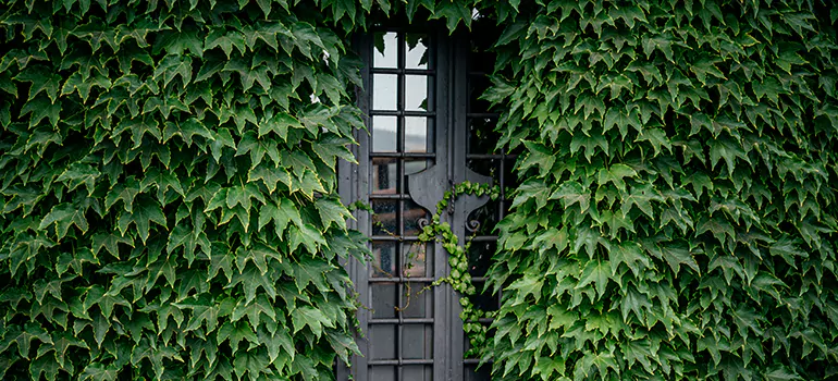 Garden Gate Repair in Richmond, BC