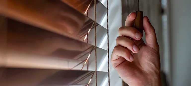 Double Roller Blinds in Richmond, British Columbia