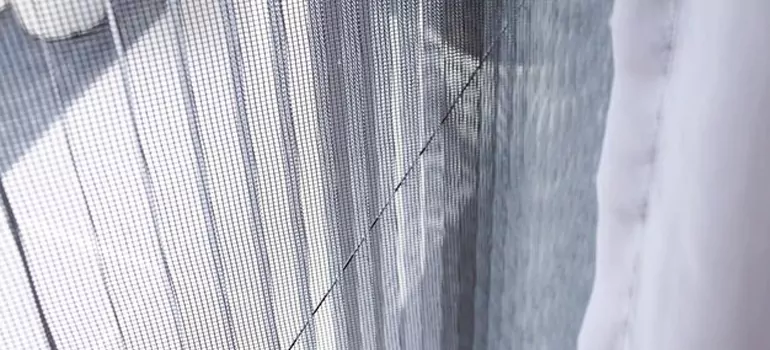 Fixing Screen Window Mesh in Richmond, British Columbia