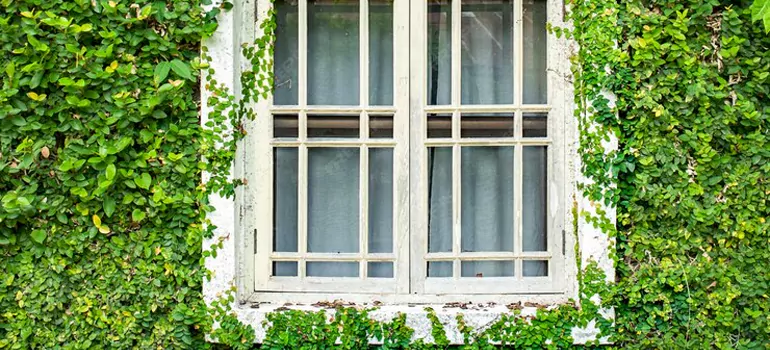 arden Window Repair Near Me in Richmond, BC