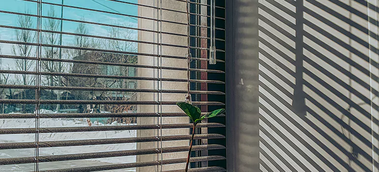 Commercial Window Blinds in Richmond, BC