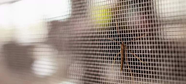 Repair Mosquito Mesh For Windows in Richmond, British Columbia