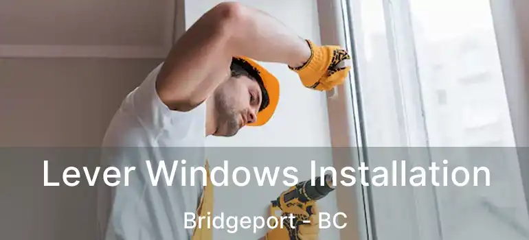  Lever Windows Installation Bridgeport - BC