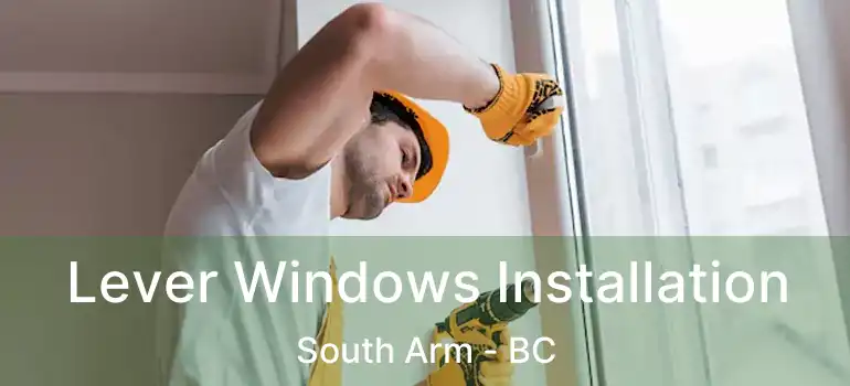  Lever Windows Installation South Arm - BC