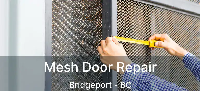  Mesh Door Repair Bridgeport - BC