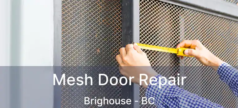  Mesh Door Repair Brighouse - BC
