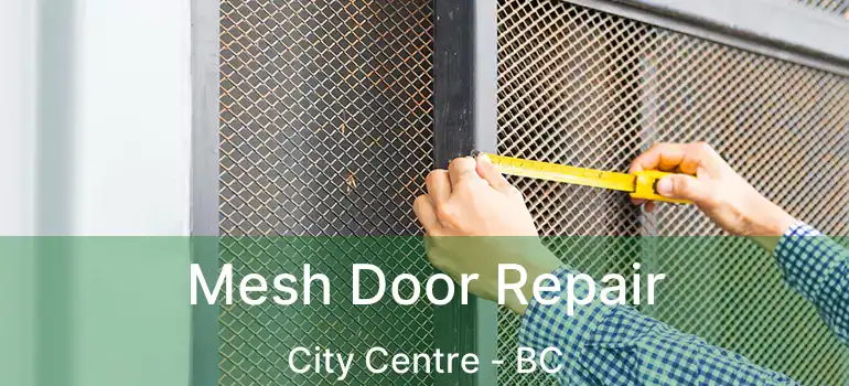  Mesh Door Repair City Centre - BC
