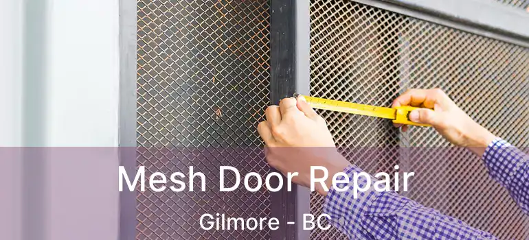  Mesh Door Repair Gilmore - BC