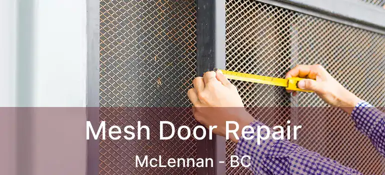  Mesh Door Repair McLennan - BC